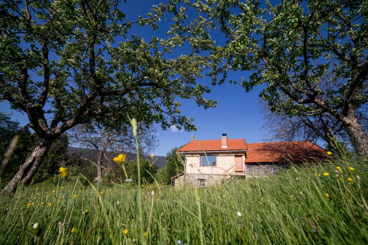 Razborca Appartement *