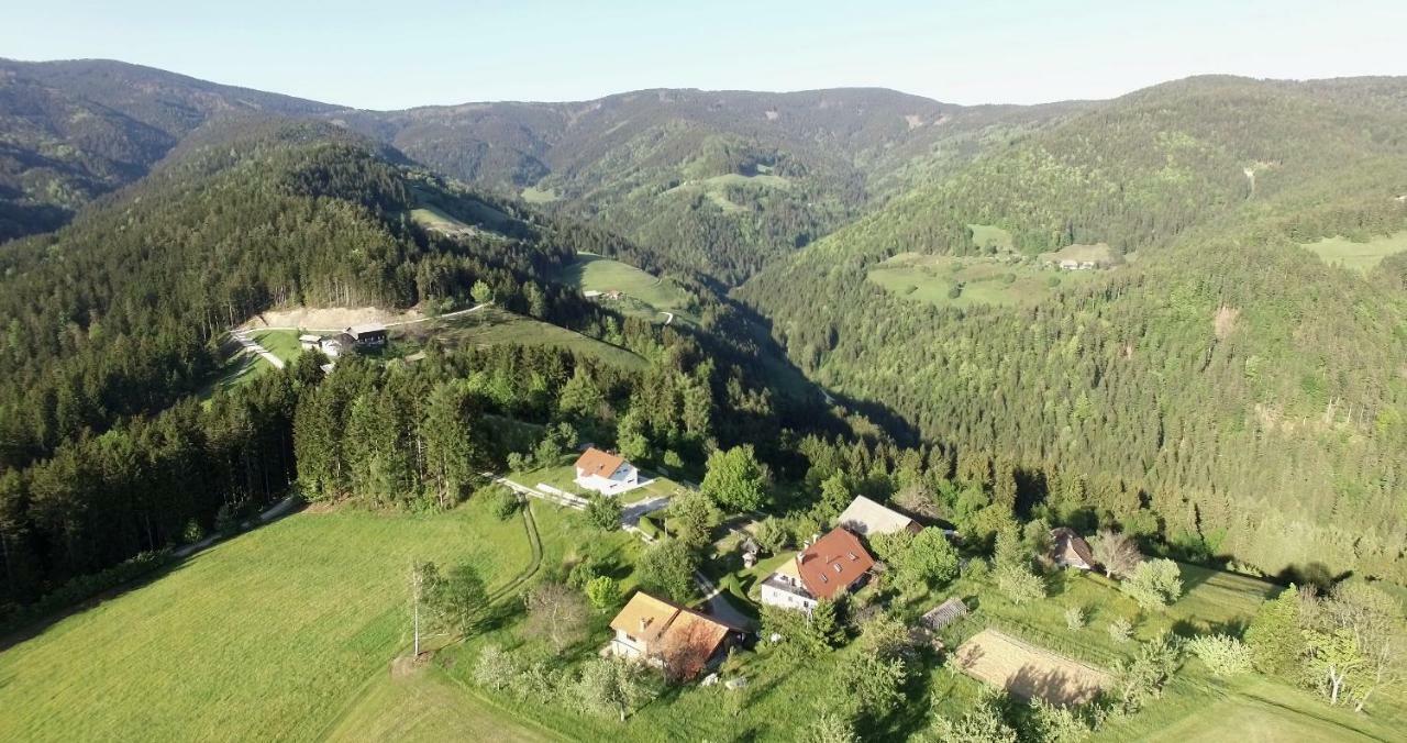 Appartement Razborca Mislinja